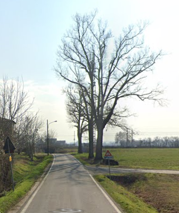 immagine annuncio 2 di 13