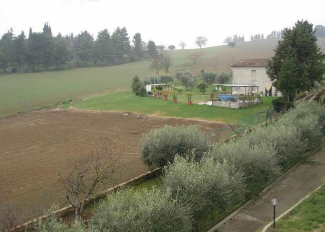 immagine annuncio 2 di 11
