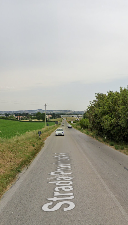 immagine annuncio 3 di 11