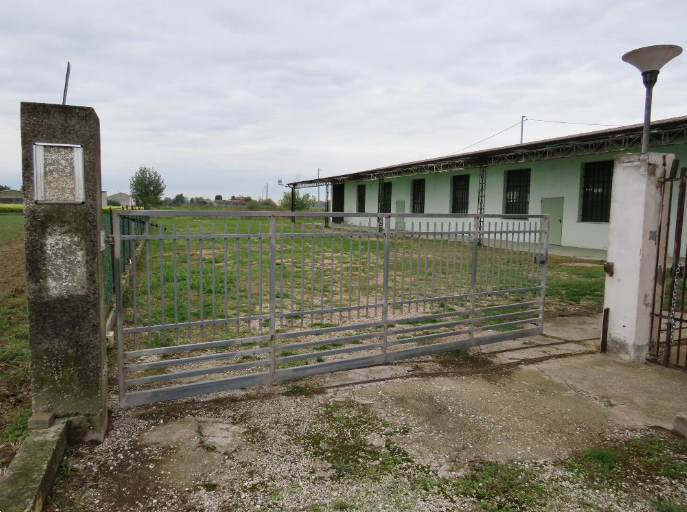 immagine annuncio 1 di 13