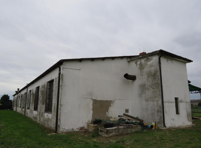 immagine annuncio 5 di 13