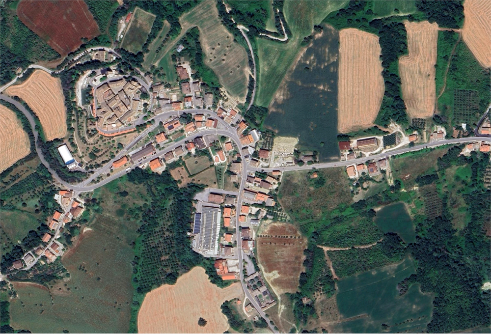 immagine annuncio 5 di 12