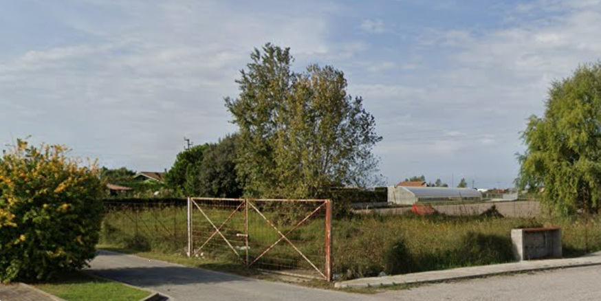 immagine annuncio 10 di 13