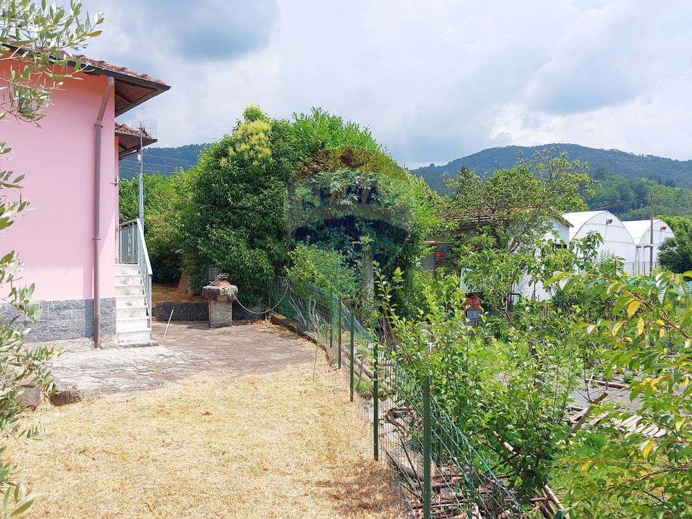 immagine annuncio 7 di 13