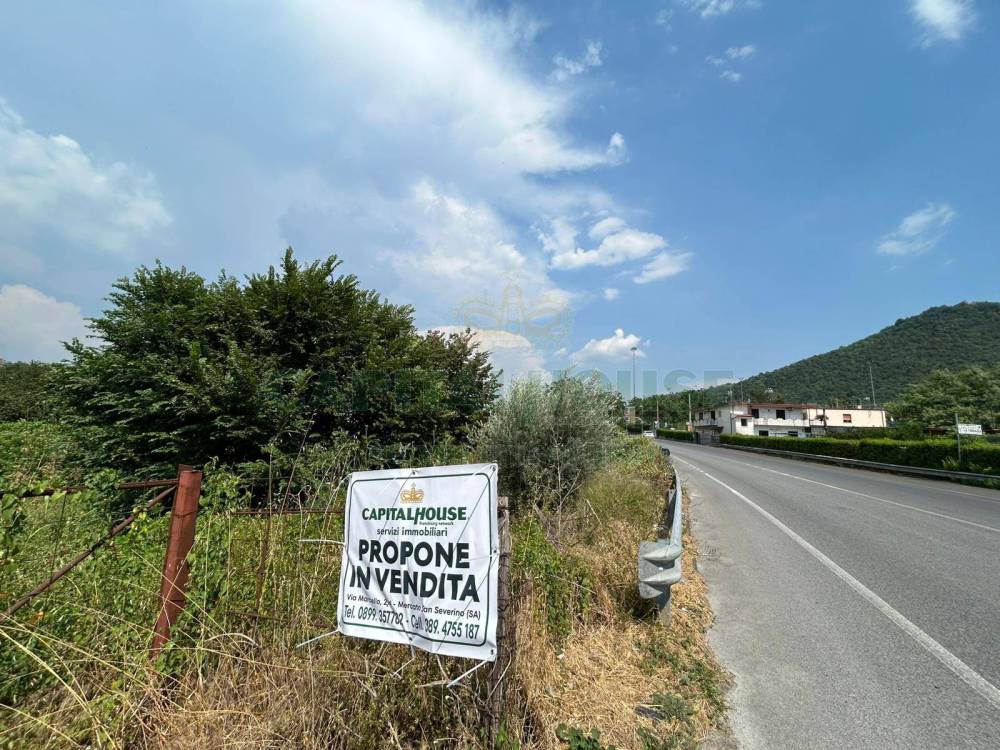 immagine annuncio 2 di 8