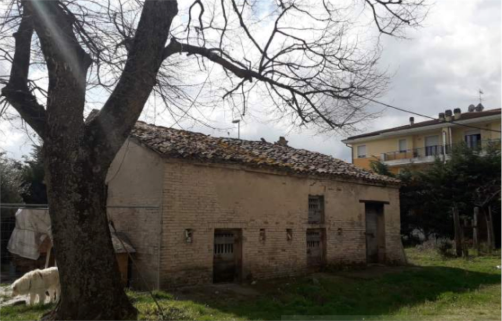 immagine annuncio 1 di 13
