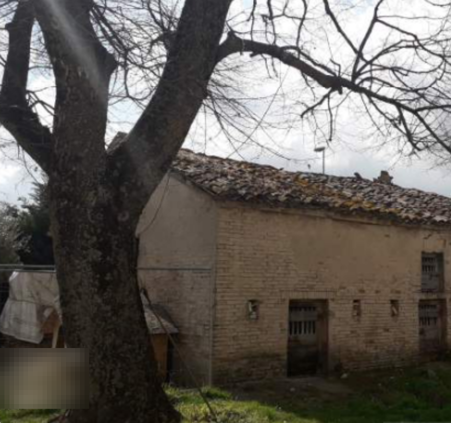 immagine annuncio 3 di 13