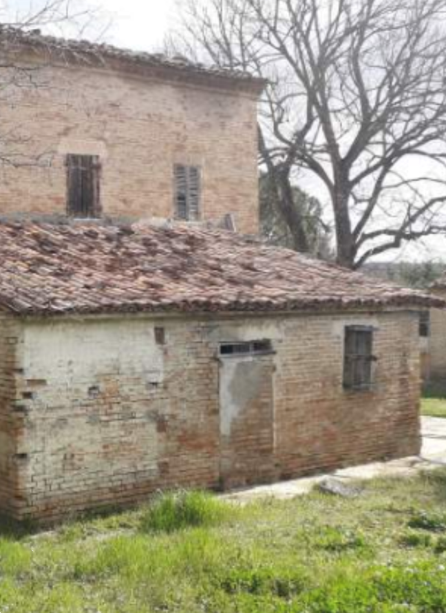 immagine annuncio 8 di 13