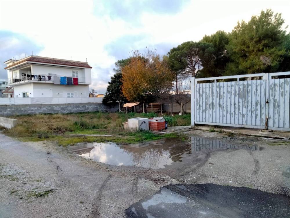 immagine annuncio 1 di 4