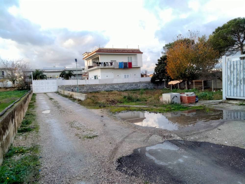 immagine annuncio 2 di 4