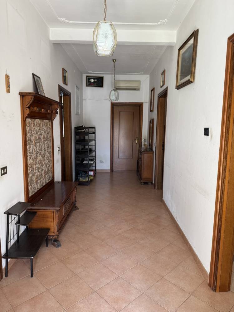 immagine annuncio 1 di 7