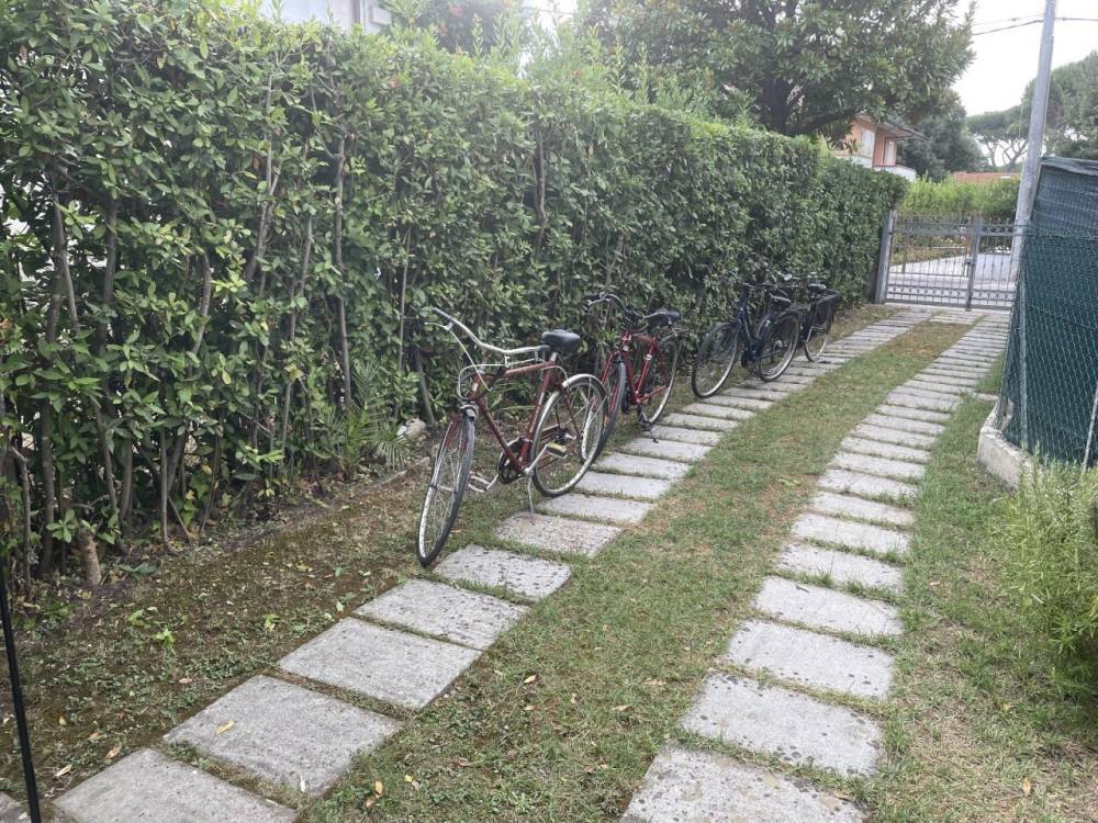 immagine annuncio 6 di 13