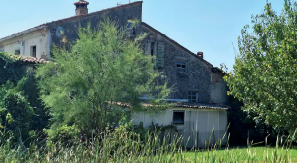 immagine annuncio 2 di 13