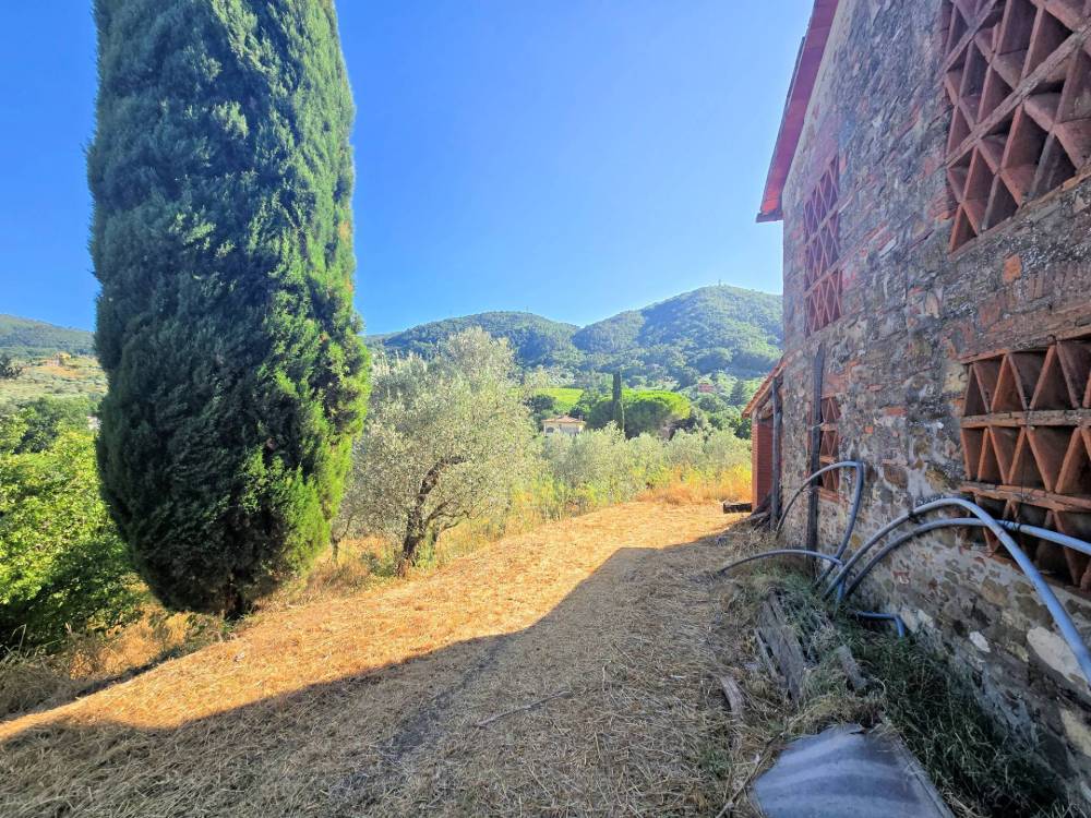 immagine annuncio 3 di 11