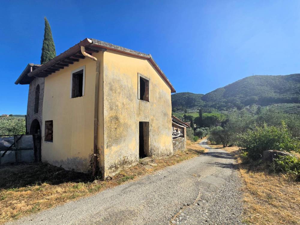 immagine annuncio 5 di 11