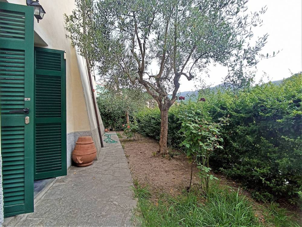 immagine annuncio 8 di 13