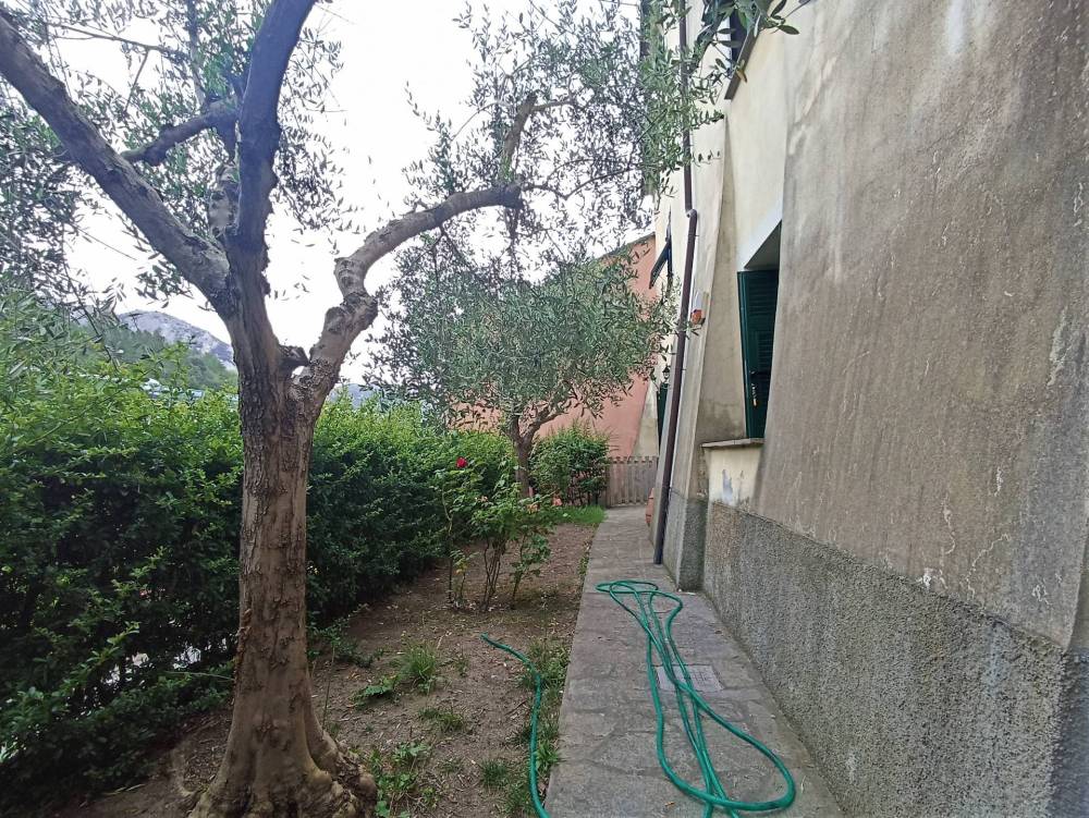 immagine annuncio 7 di 13