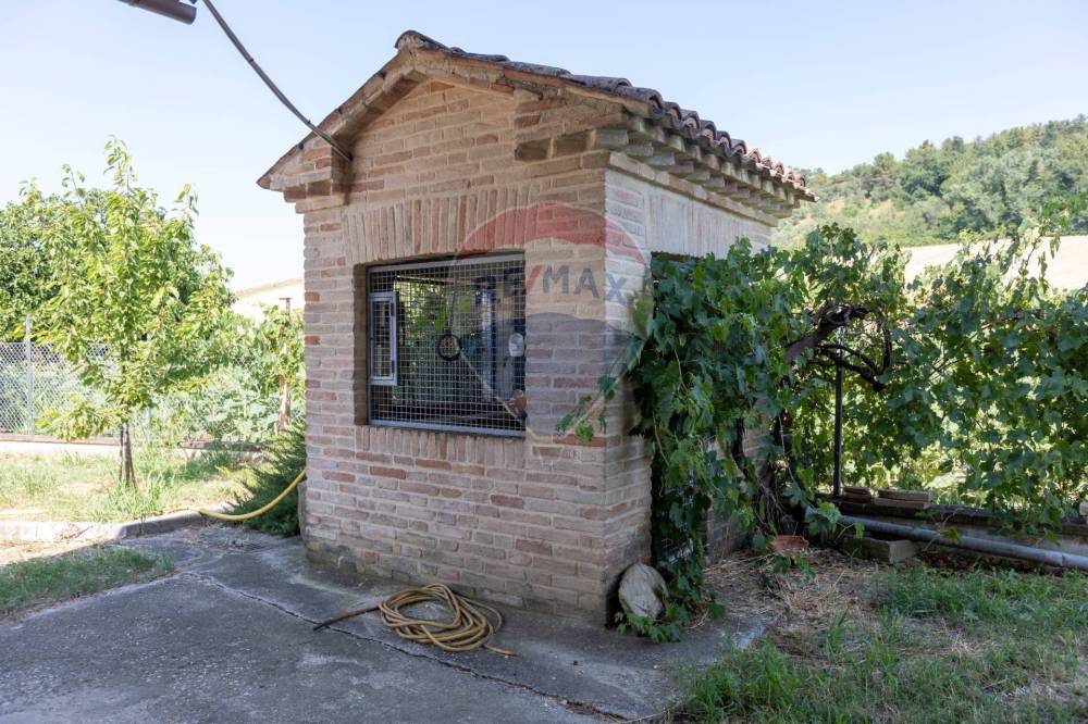immagine annuncio 10 di 13