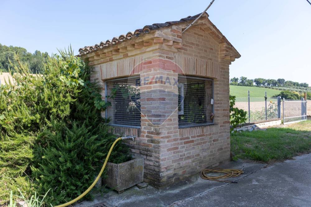 immagine annuncio 11 di 13
