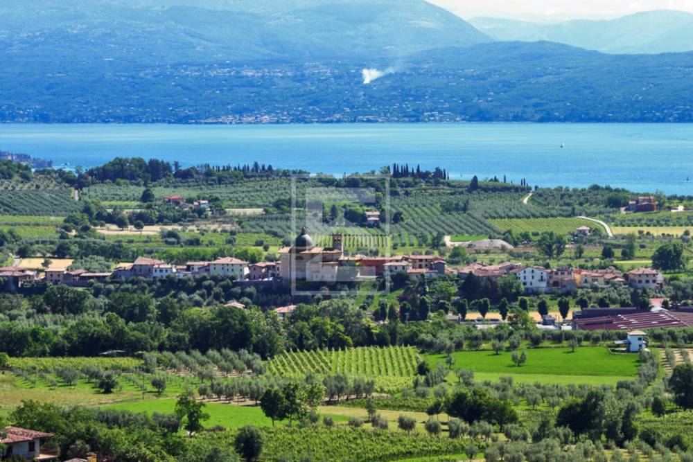 immagine annuncio 7 di 13