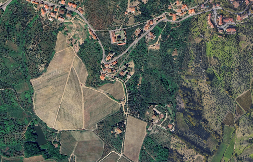immagine annuncio 11 di 13