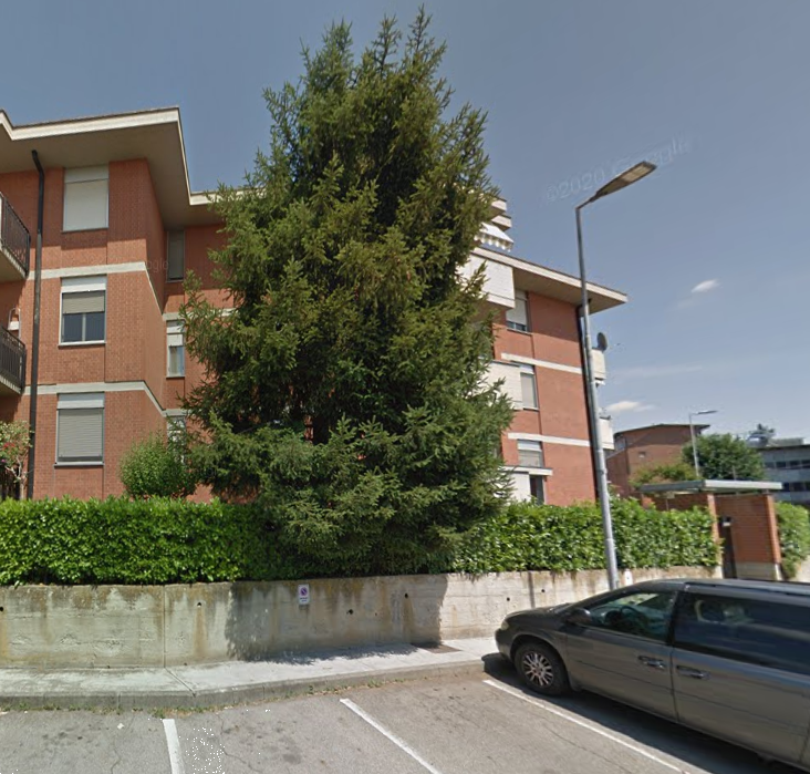 immagine annuncio 3 di 13