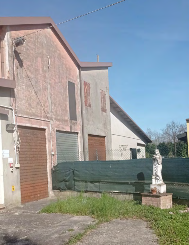 immagine annuncio 3 di 13