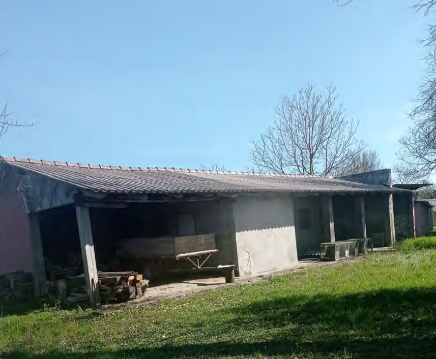 immagine annuncio 5 di 13