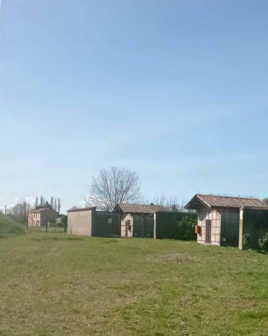 immagine annuncio 8 di 13