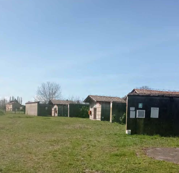 immagine annuncio 9 di 13
