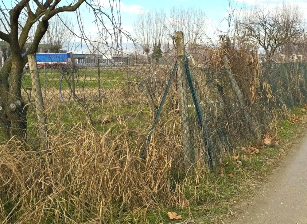 immagine annuncio 2 di 13