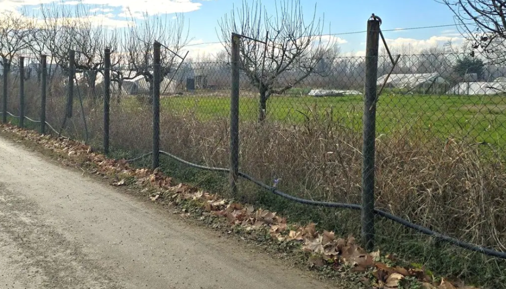 immagine annuncio 9 di 13