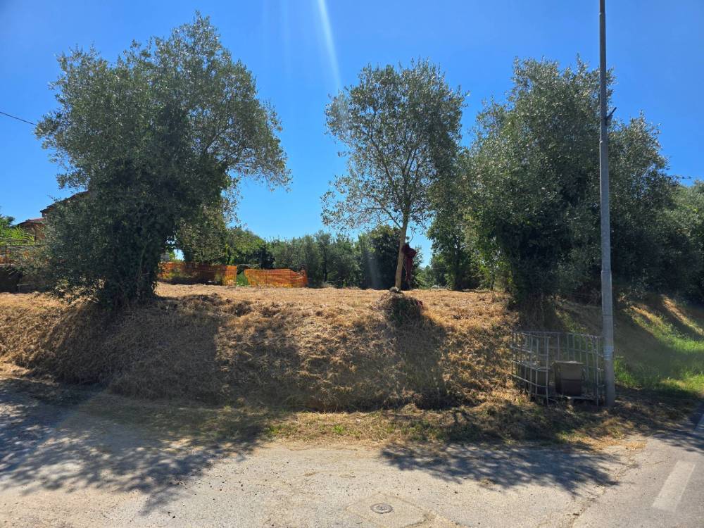 immagine annuncio 1 di 6
