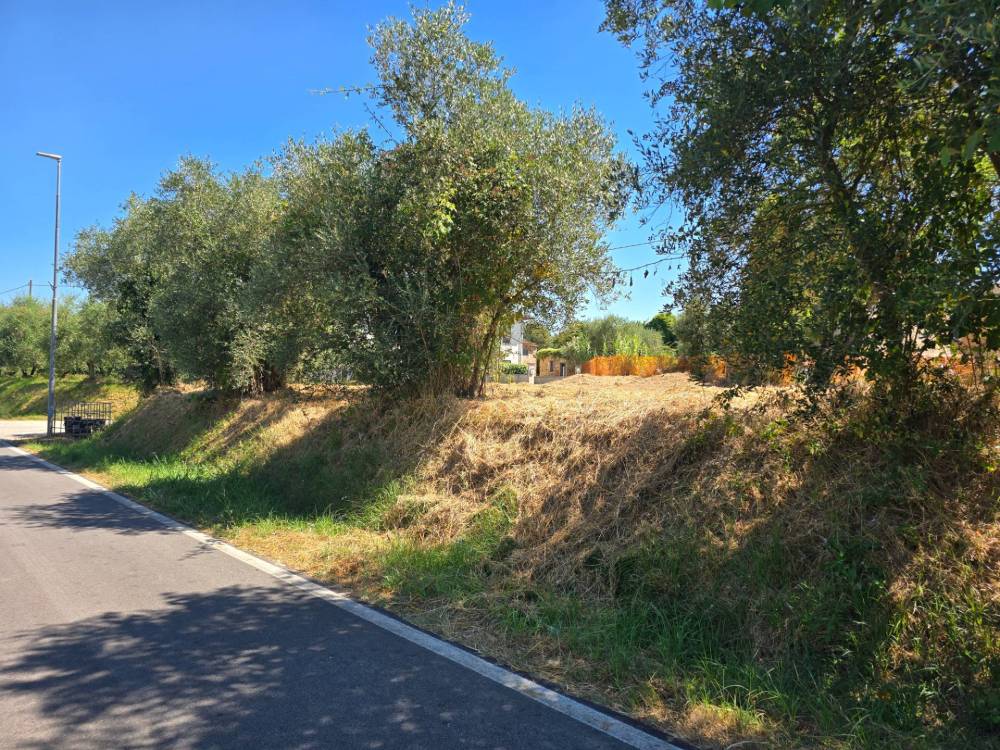 immagine annuncio 3 di 6