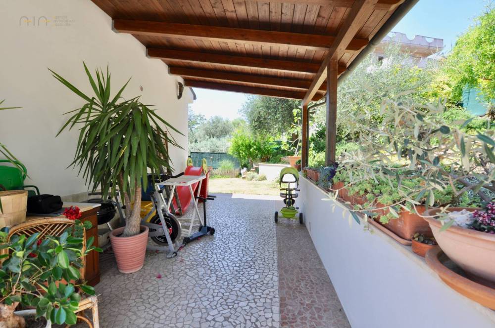 immagine annuncio 2 di 13