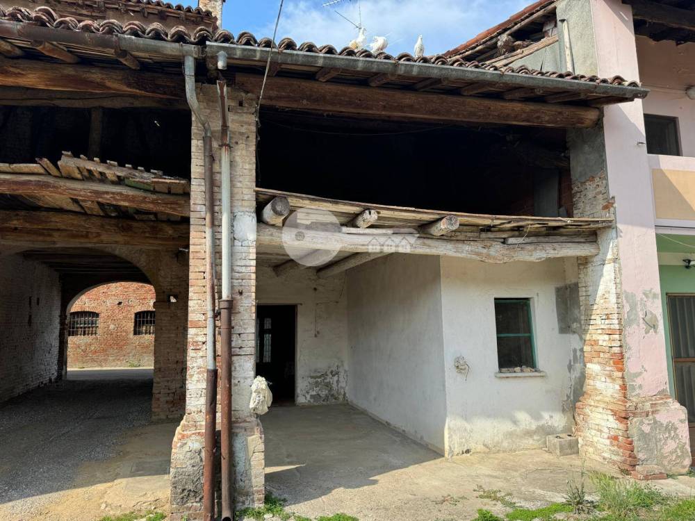 immagine annuncio 3 di 14