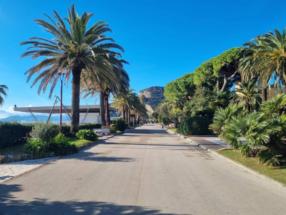 immagine annuncio 12 di 13