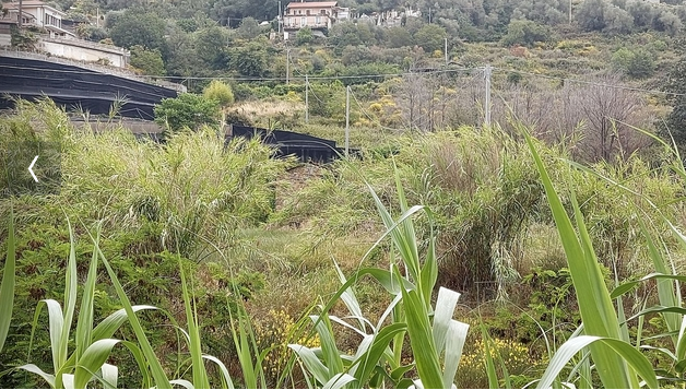 immagine annuncio 3 di 7