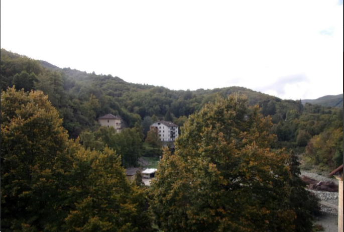immagine annuncio 2 di 7