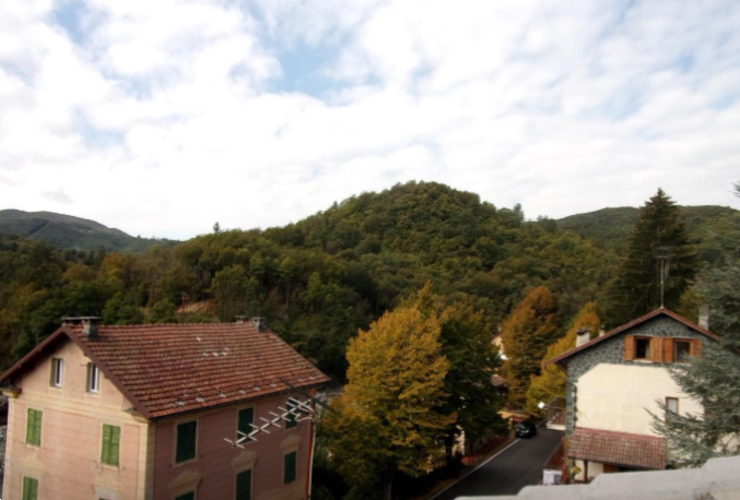 immagine annuncio 3 di 7