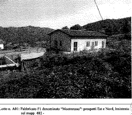 immagine annuncio 9 di 13