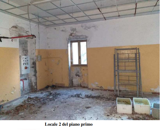 immagine annuncio 1 di 13