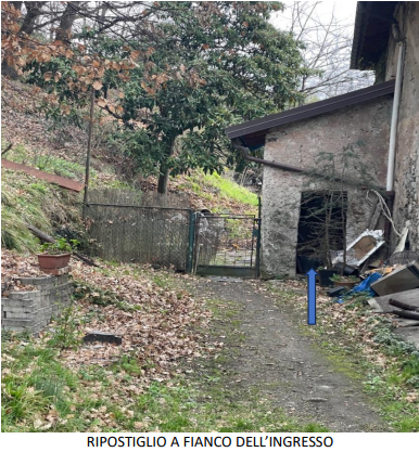immagine annuncio 5 di 13