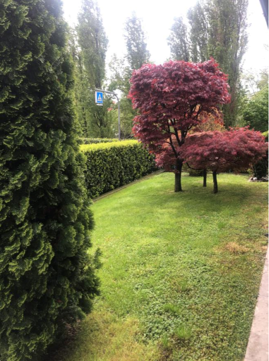 immagine annuncio 3 di 13