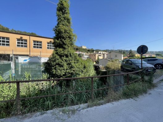 immagine annuncio 4 di 8