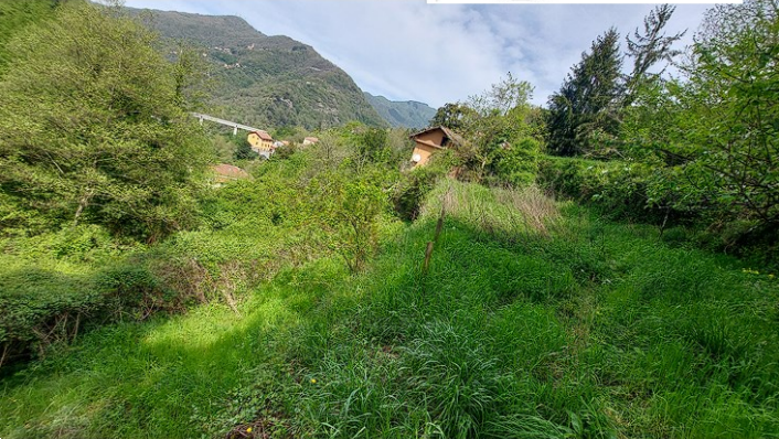 immagine annuncio 2 di 13
