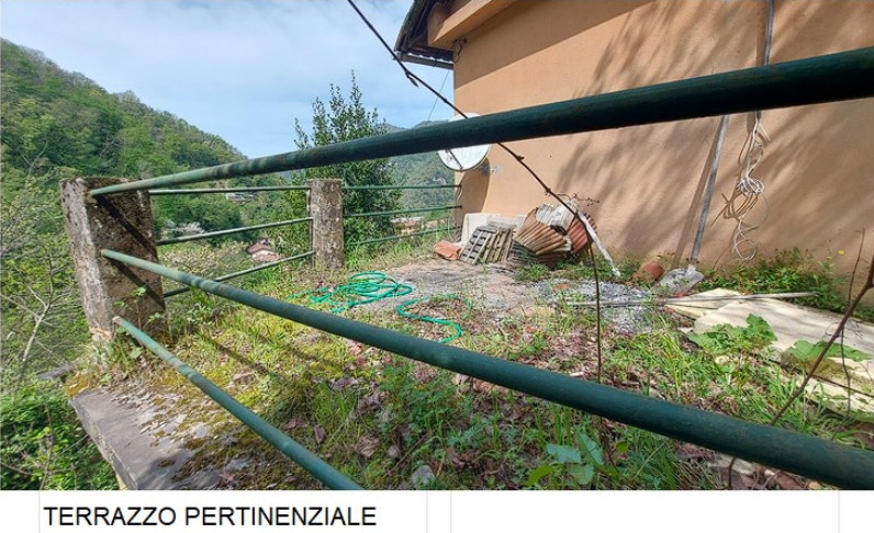 immagine annuncio 9 di 13