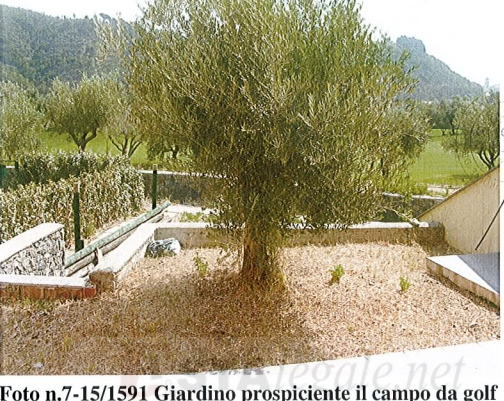 immagine annuncio 1 di 6