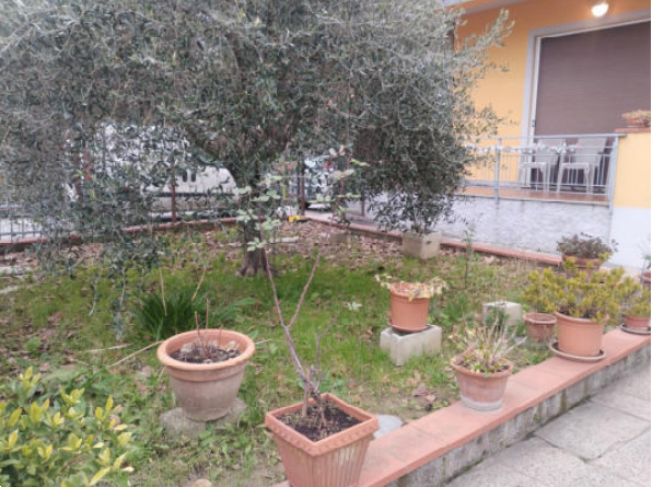 immagine annuncio 2 di 8