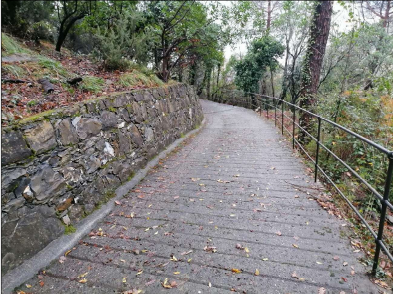 immagine annuncio 5 di 13